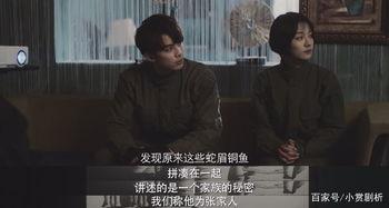 长生蛇在线观看,穿越时空的神秘之旅  第2张