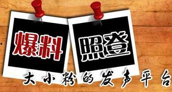 宜昌新闻网爆料台,聚焦民生热点，传递社会声音